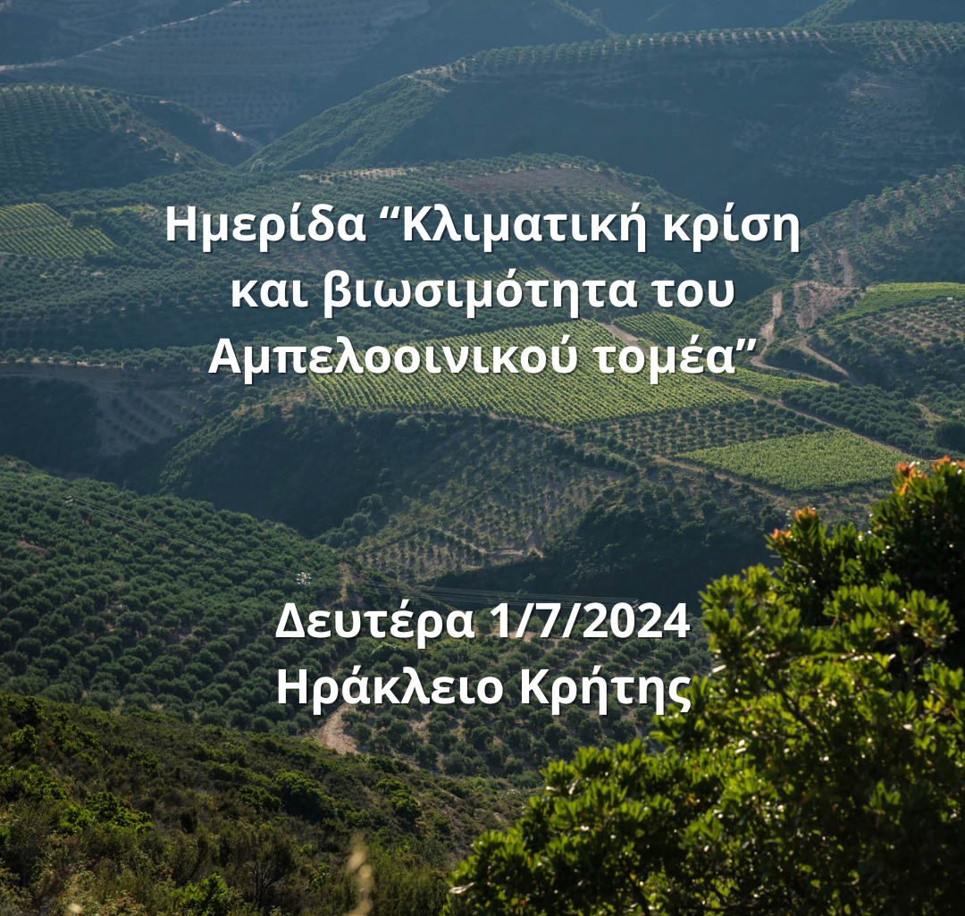 Ημερίδα &#8220;Κλιματική κρίση και βιωσιμότητα του Αμπελοοινικού τομέα&#8221; την Δευτέρα 1/7/2024